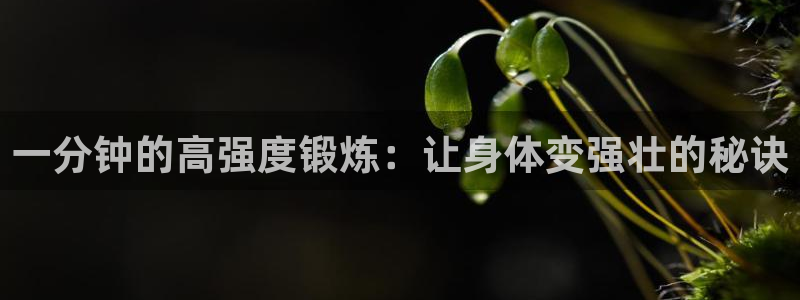 77体育官网：一分钟的高强度锻炼：让身体变强壮的秘诀