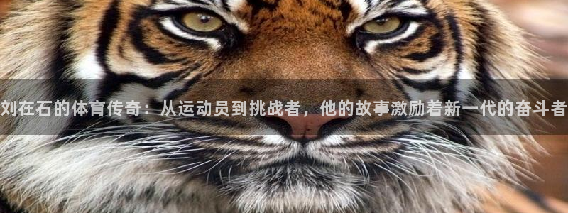 77体育：刘在石的体育传奇：从运动员到挑战者，他的故事激励着新一代的奋斗者