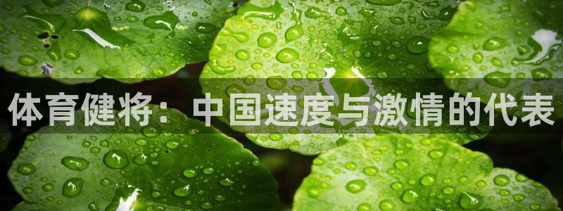 皇冠277体育：体育健将：中国速度与激情的代表