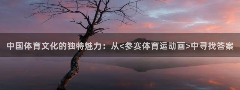77体育