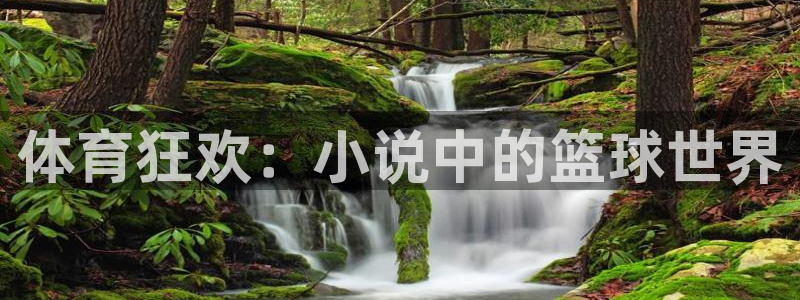 77体育