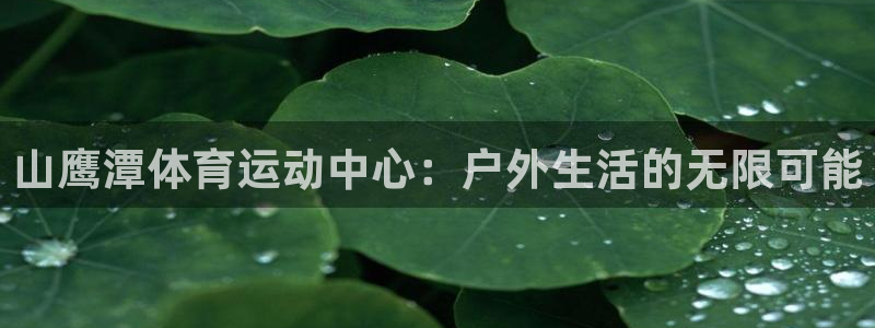 77体育官网：山鹰潭体育运动中心：户外生活的无限可能