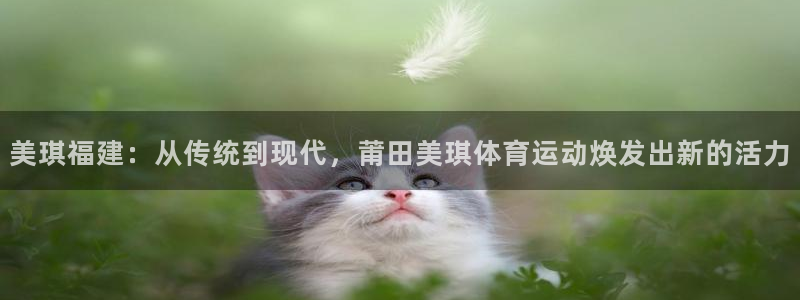 77体育官网：美琪福建：从传统到现代，莆田美琪体育运动焕发出新的活力