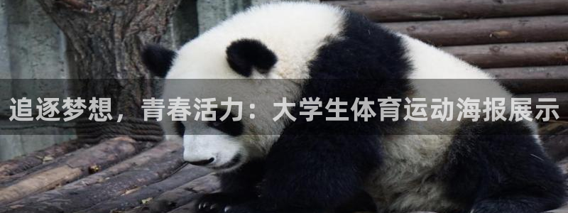 77体育官网：追逐梦想，青春活力：大学生体育运动海报展示