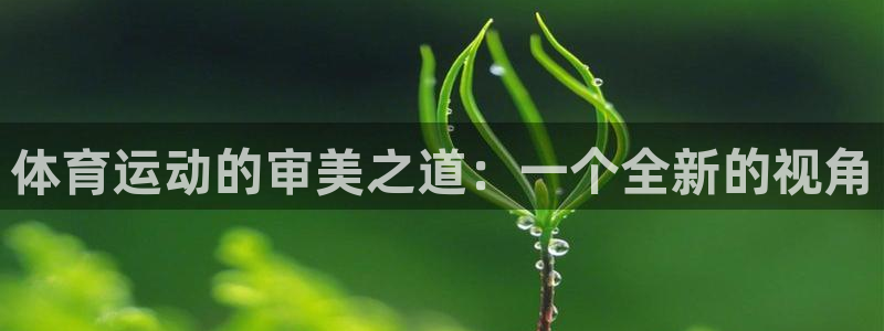 77体育官网：体育运动的审美之道：一个全新的视角