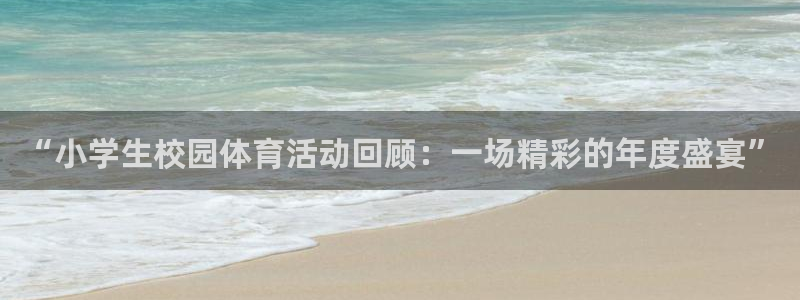 皇冠277体育：“小学生校园体育活动回顾：一场精彩的年度盛宴”