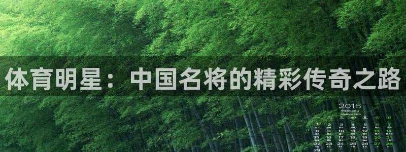 77体育：体育明星：中国名将的精彩传奇之路